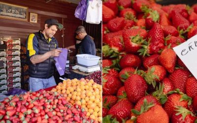 Căpșune: Prețuri-șoc în Piața Amzei vs Obor! Diferența e MARE în București