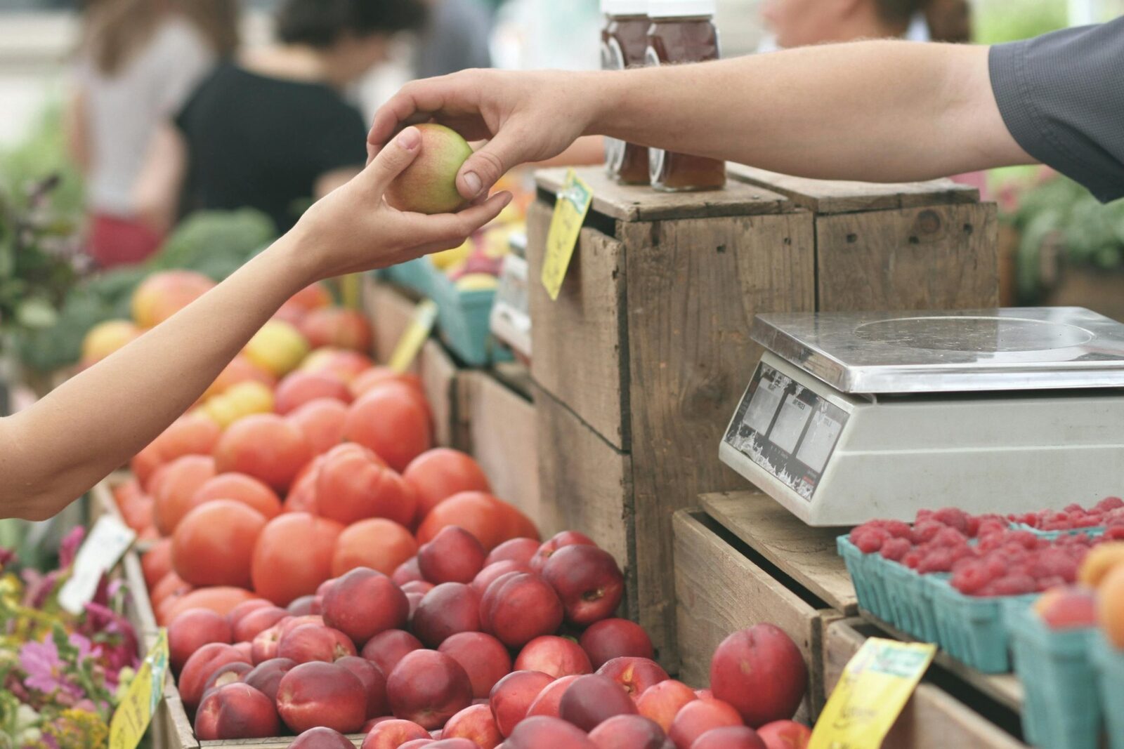 Pesticide: Alarme în Europa! Multe alimente, contaminate peste limite