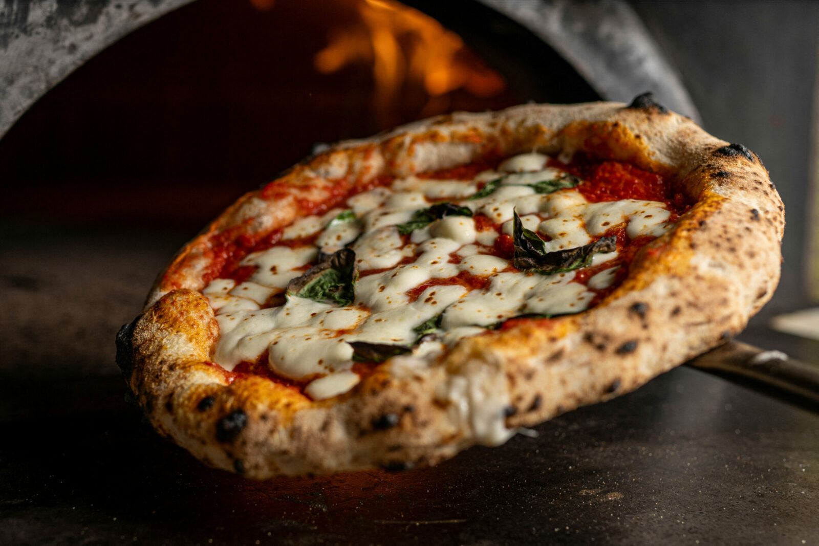 IA a făcut praf 100 de milioane $ la o companie de pizza?