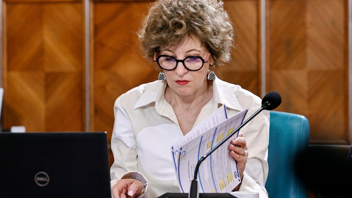 Plângere penală la DNA: OANA Gheorghiu, acuzată de presiuni în contracte