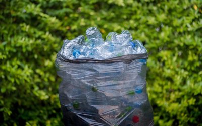 Record de reciclare: Câți bani a făcut un polonez din 8.000 de sticle în 8 ore