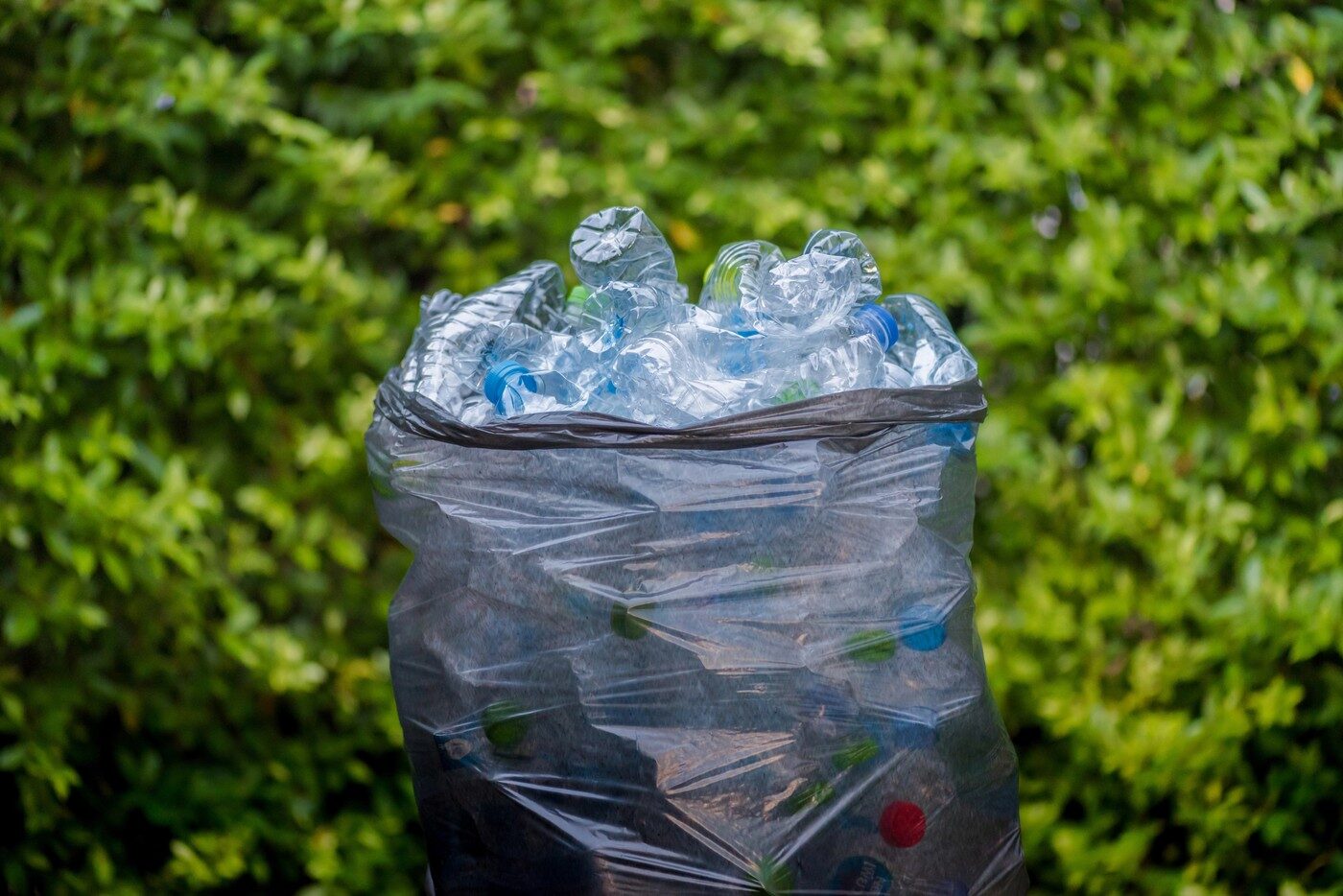 Record de reciclare: Câți bani a făcut un polonez din 8.000 de sticle în 8 ore