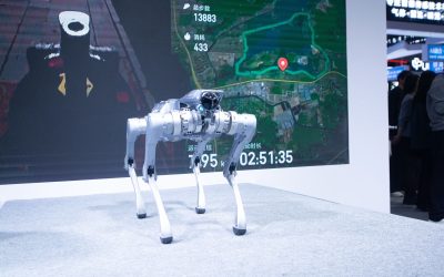 Robocâinele de pază, spion chinezesc? Un bărbat, raportat de propriul animal