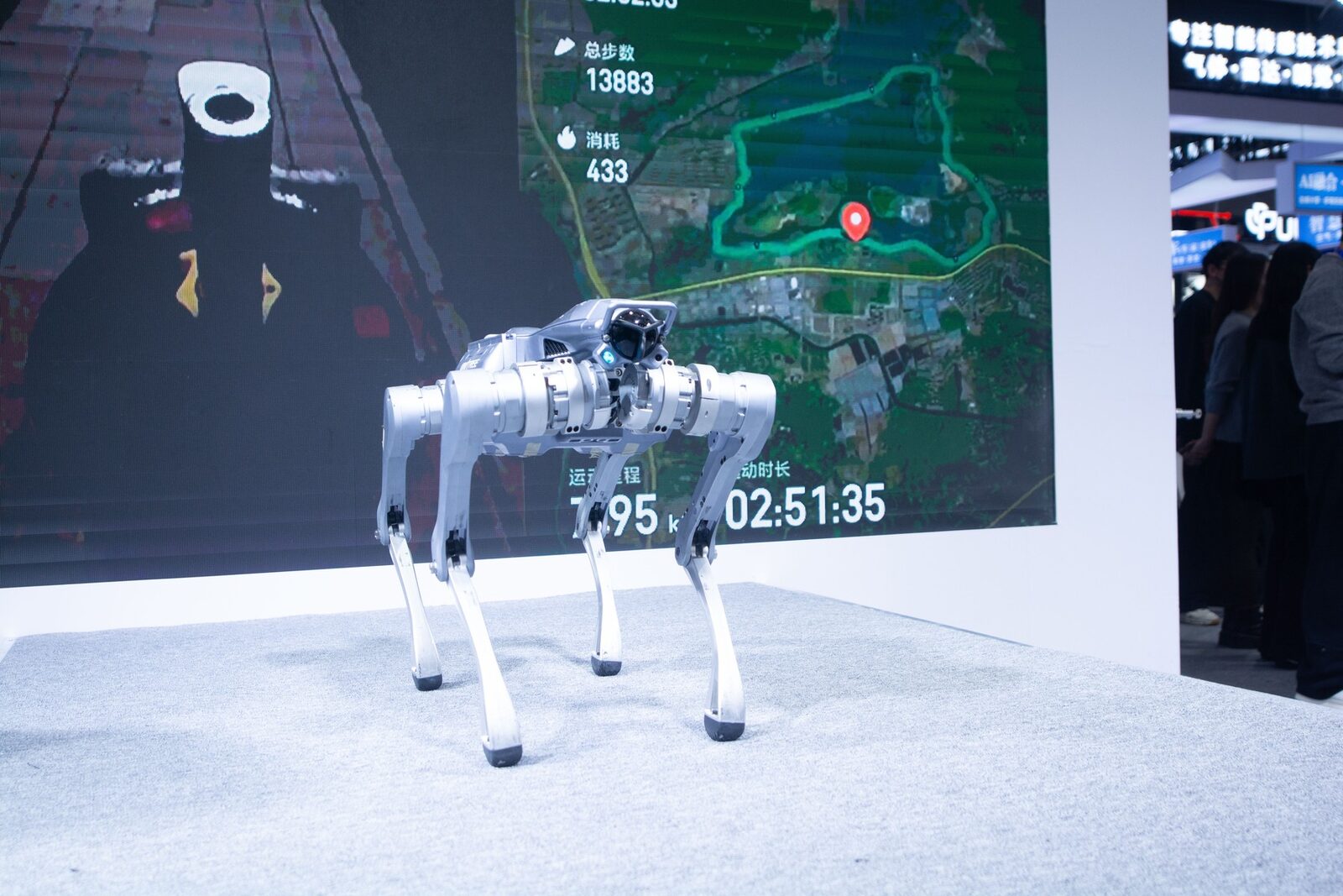 Robocâinele de pază, spion chinezesc? Un bărbat, raportat de propriul animal
