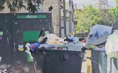 Bacău, sufocat de gunoaie: 65 de localități în stare de alertă, primarul dă vina pe bani