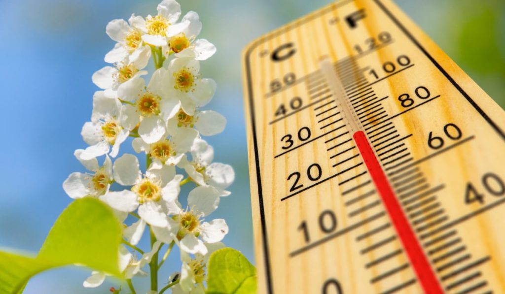 Vremea la București: ANM anunță schimbări radicale de temperatură (8-10 Mai 2026)