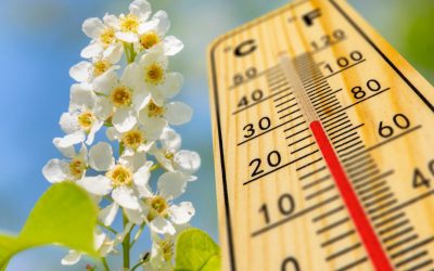 Vremea la București: ANM anunță schimbări radicale de temperatură (8-10 Mai 2026)