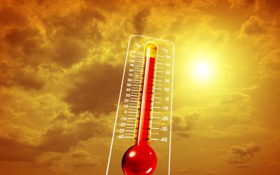 ONU: Ani grei din cauza schimbărilor climatice, ne așteaptă criza