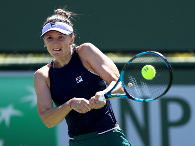 Begu vs. Williams, acum, la WTA Bad Homburg