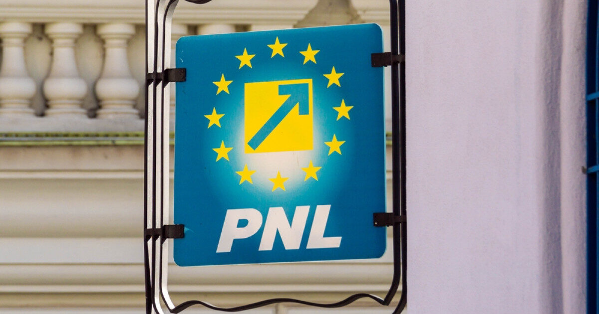 PNL, REACȚIA ȘOC DUPĂ DEPUNEREA PROGRAMULUI LA PARLAMENT