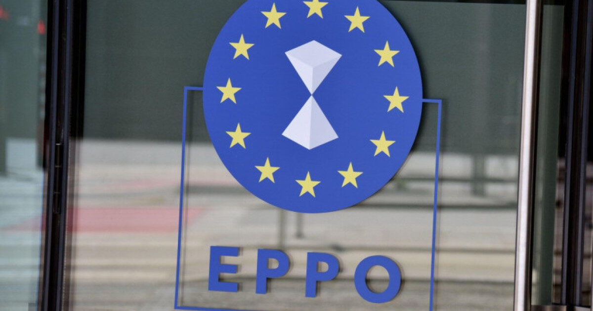 Martori în dosarul de 1,5 mil. euro, reținuți pentru mărturie falsă
