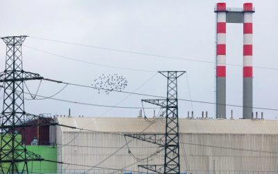 Paks, ungurii opresc reactoarele nuclear. Dunărea fierbinte, risc major