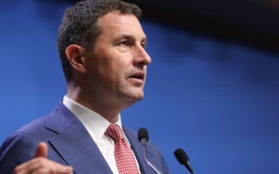 Tanczos Barna: Legume turcești vândute românești, practici neloiale persistă