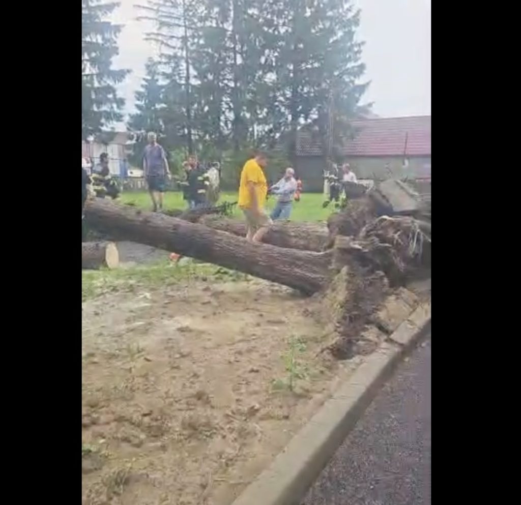 Copaci doborâți de vânt peste un stâlp la spital Vrancea