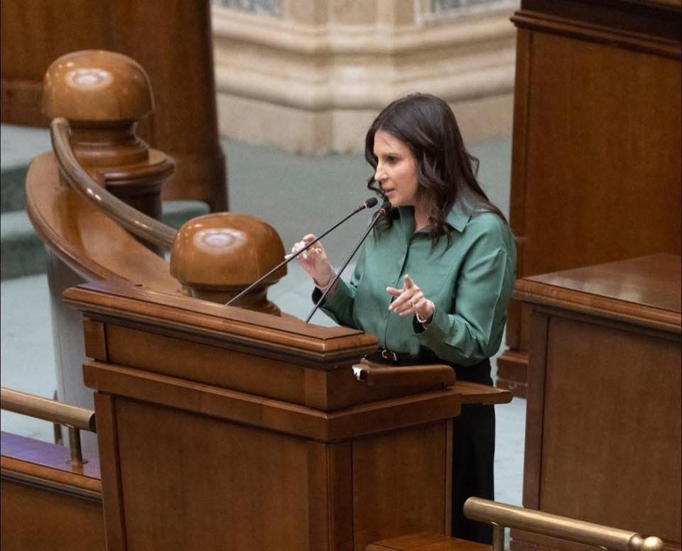 Senatul a aprobat investițiile individuale pentru viitorul românilor