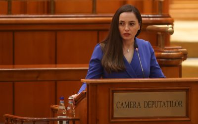 GÂLCEAVĂ ÎN PARLAMENT pe poziția lui Veștea. Șefa POT, acuzată de lovituri pe sub masă. Gavrilă neagă