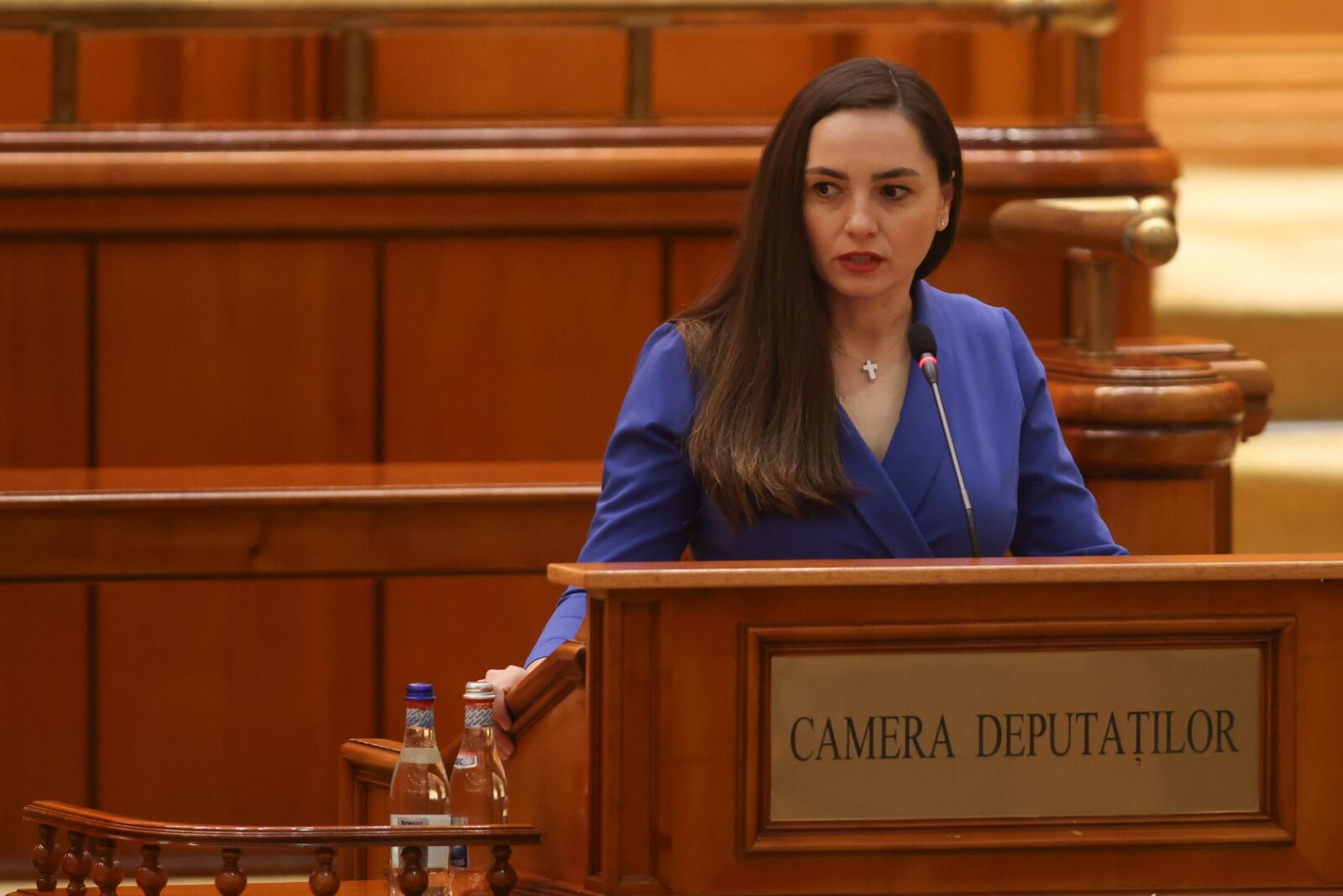 GÂLCEAVĂ ÎN PARLAMENT pe poziția lui Veștea. Șefa POT, acuzată de lovituri pe sub masă. Gavrilă neagă