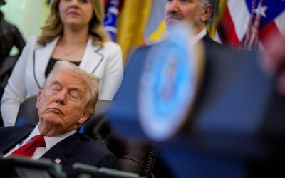 Trump, profit record din cripto. Investitorii plâng