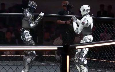 Roboți se luptă: Unul și-a pierdut capul, dar a continuat jocul