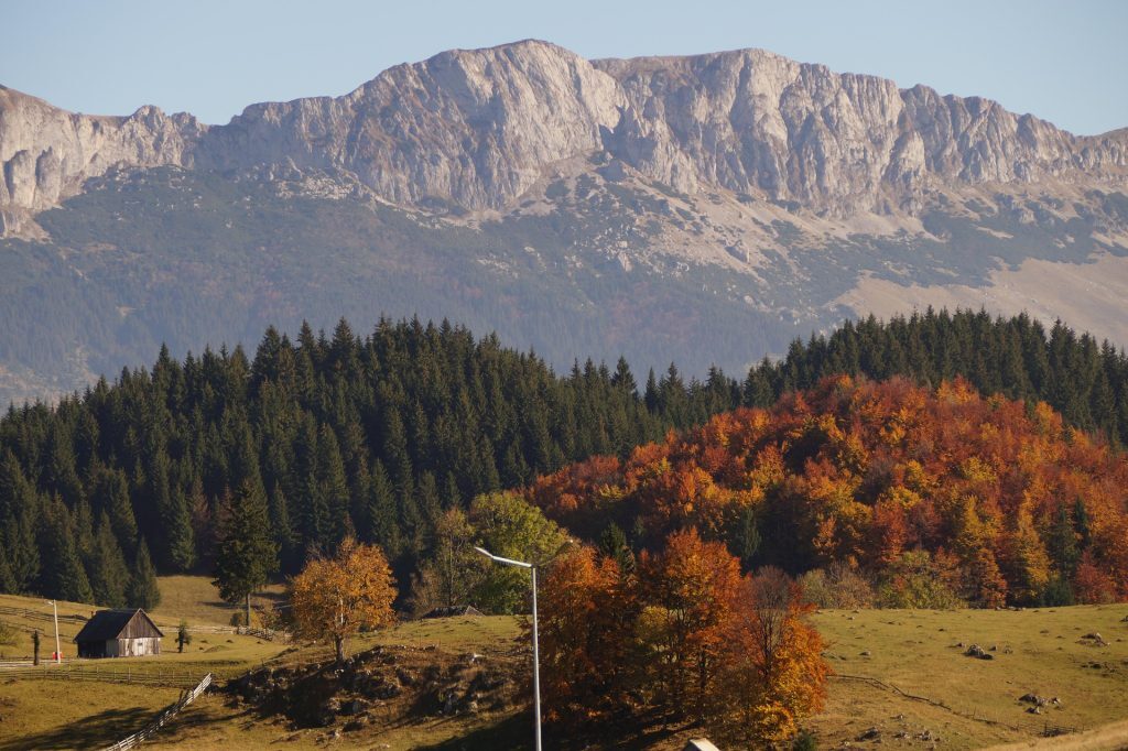 Gumuțeasca, limba veche de un secol, trăiește în satul românesc