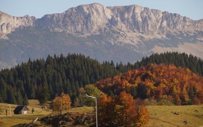 Gumuțeasca, limba veche de un secol, trăiește în satul românesc