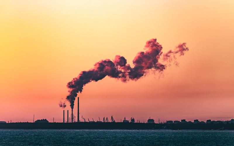 UE sub Bruegel: Compensăm o tonă, tăiem cinci în alte țări
