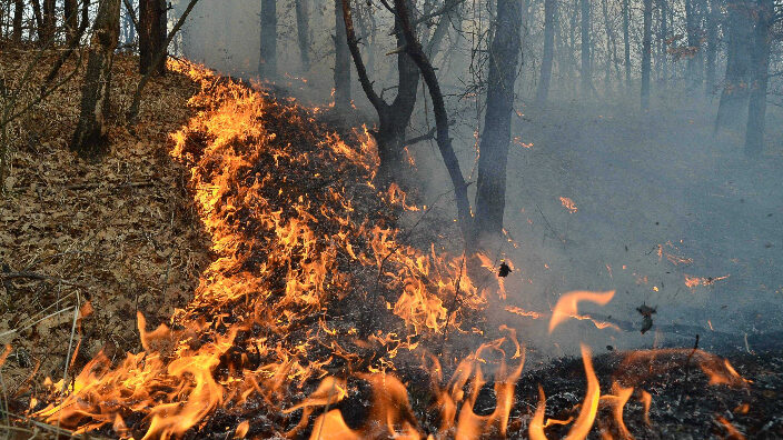 Italia: Atenționare MAE! Cod portocaliu de incendii în Sardinia și Sicilia