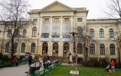 Aventura Tigrului la Antipa: Atelier pentru Copii
