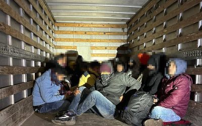 Migranți, arestări în Germania și Elveția: Rețea românească prinsă în flagrant
