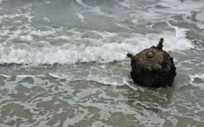 Marea Neagră: 3 țări unesc forțele pentru cabluri submarine