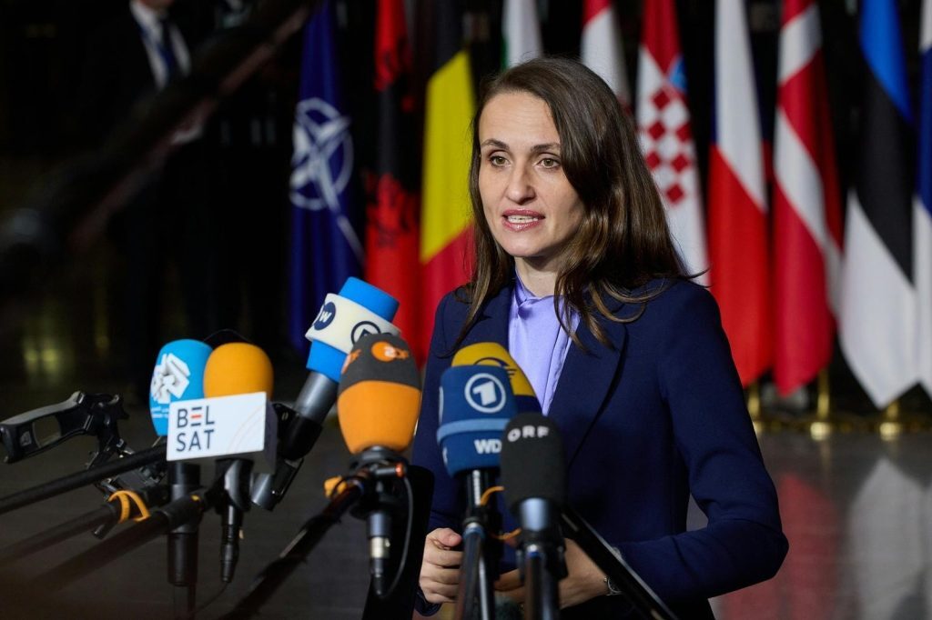 Oana Țoiu: Nu accident, ci tipar. Granițele României nu sunt negociabile.