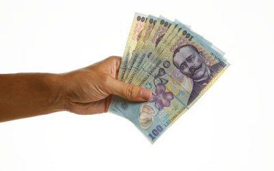 Europarlamentari vs. Medici, Profesori, Polițiști: Câștigurile din 2026