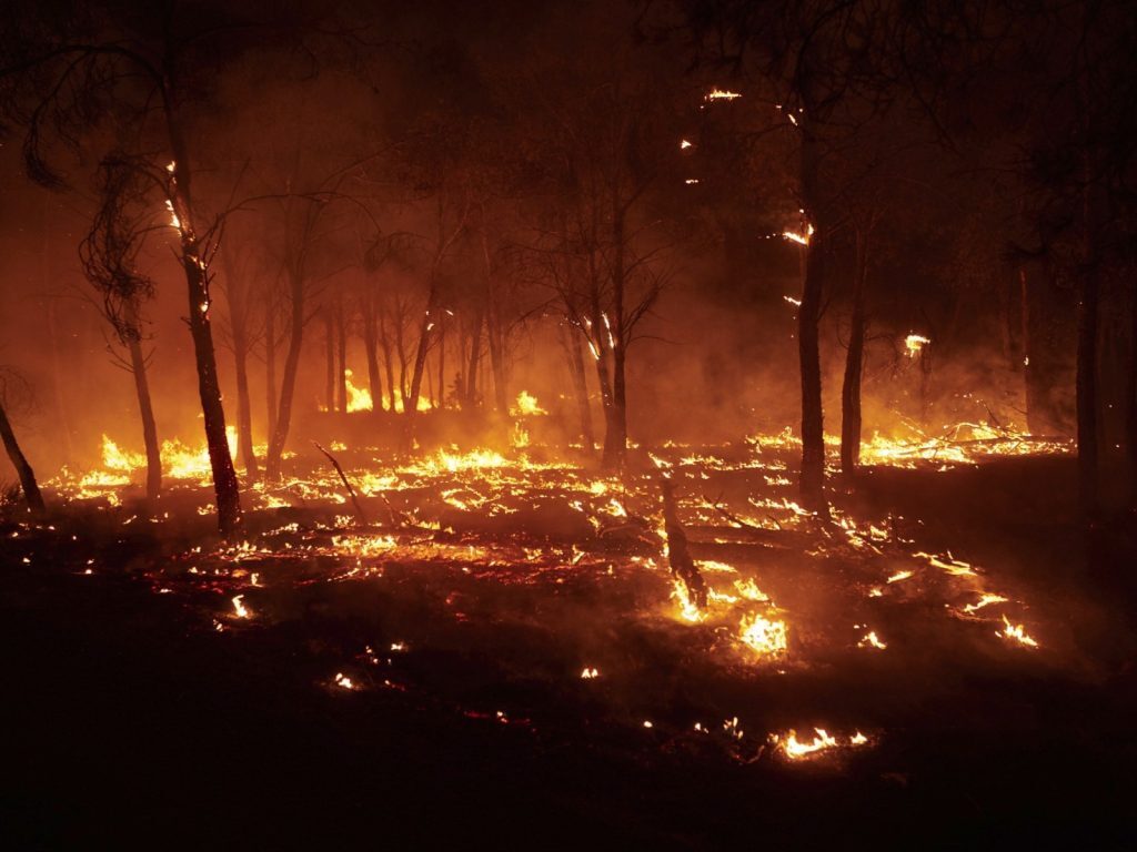 Orizontul de Foc: Străinii, victime în incendiile din Spania