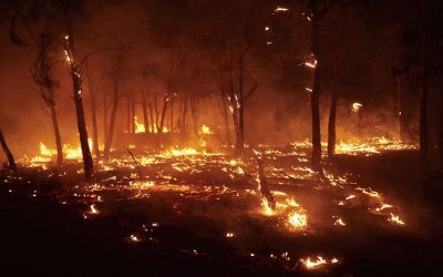 Orizontul de Foc: Străinii, victime în incendiile din Spania