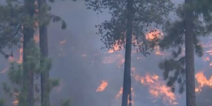 Incendiu în Plauru, un atac cu dronă suspectat