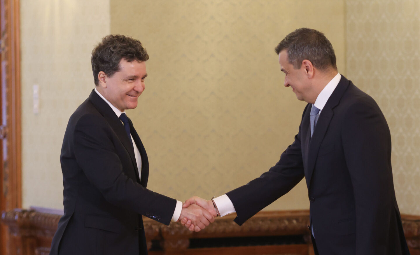 Nicosor Dan, IRITAT de PSD: Blocate legile PNRR