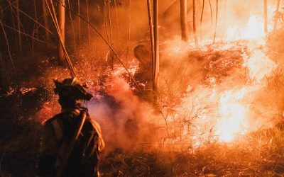 VALENCIA ÎN FLĂCĂRI: Cod Roșu de incendii de vegetație