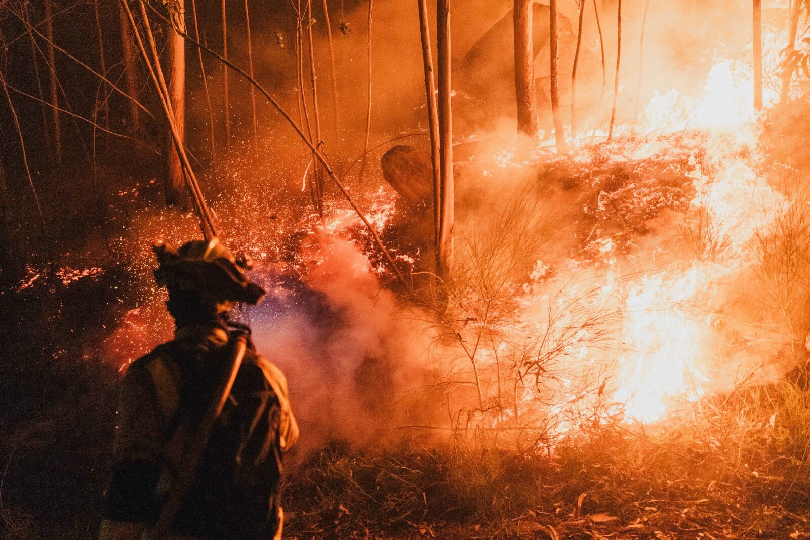 VALENCIA ÎN FLĂCĂRI: Cod Roșu de incendii de vegetație