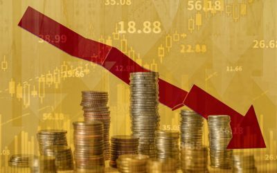 Consilier prezidențial: Economia României riscă recesiunea la final de an