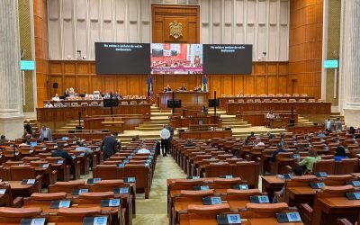 ANI, votată în plen cu PSD+AUR. 234 deputați, o treime vot.