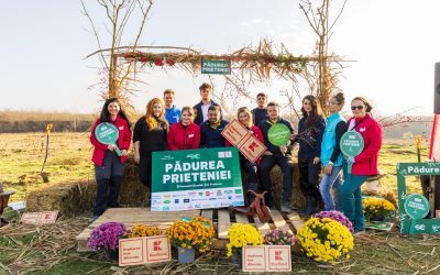 Investiții ce schimbă vieți: responsabilitatea socială a companiilor