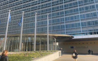 S&D: România nu plătește dublu. Weber: PPE nu lasă banii să piară