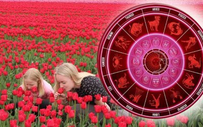 Horoscop 9 august 2026: Oprește-te la timp, întreabă fără teamă
