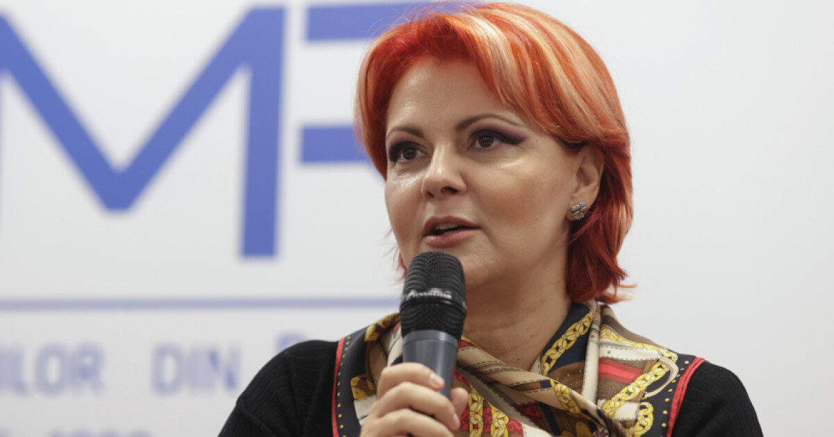 Olguța Vasilescu: Sporul european fie 20% la toți, fie 40%