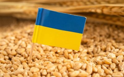 Ucraina cere UE 220 mil. euro: ajutor vital pentru fermierii afectați