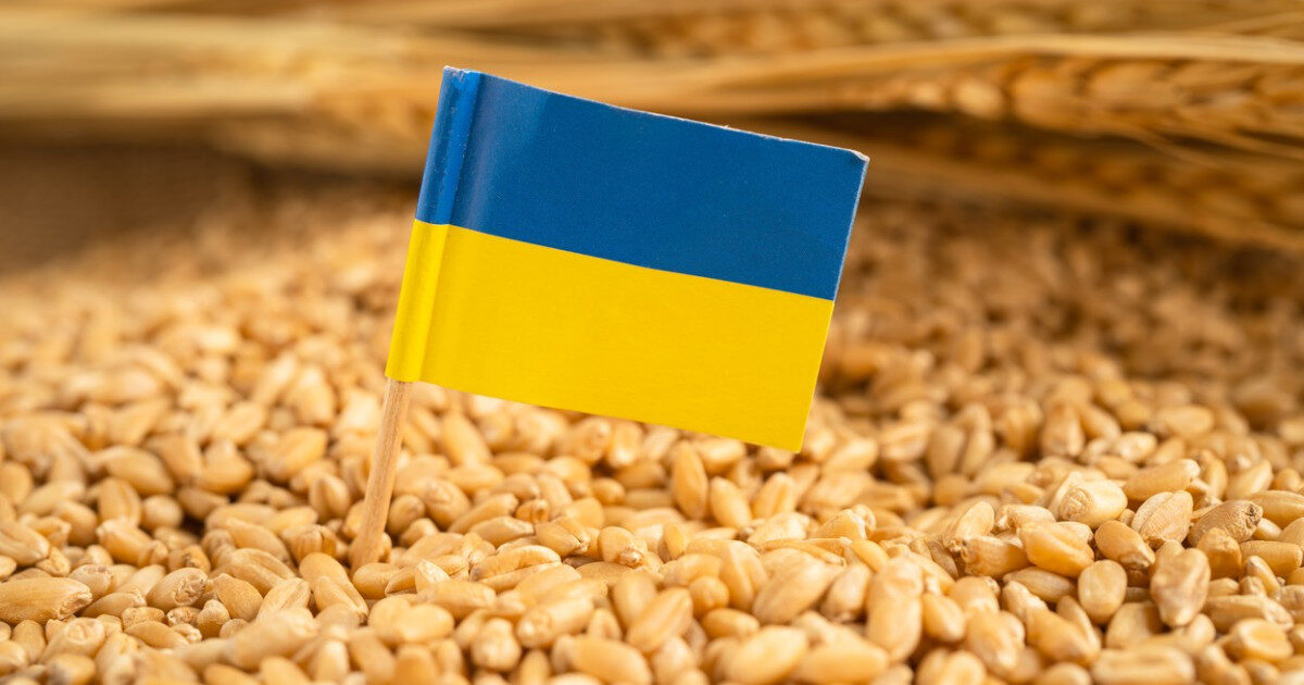 Ucraina cere UE 220 mil. euro: ajutor vital pentru fermierii afectați