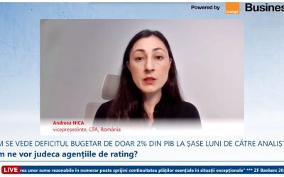 Afacerile avertizează: Stabilitatea publică blochează fonduri vitale