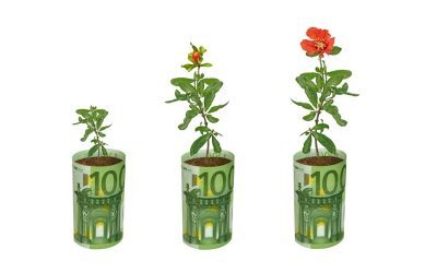 Fonduri UE 2026: 100.000€ pentru flori și plante medicinale
