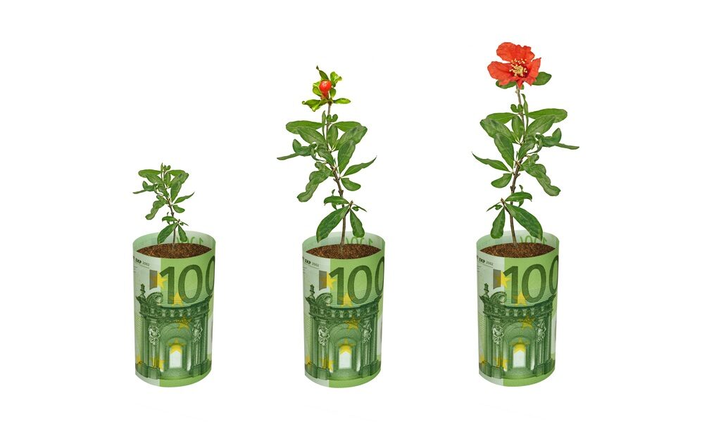 Fonduri UE 2026: 100.000€ pentru flori și plante medicinale