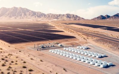 Musk: AI-ul Tesla, alimentat de baterii. Miza uriașă